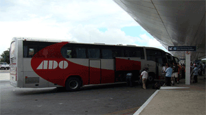 Cancun Airport Bus
